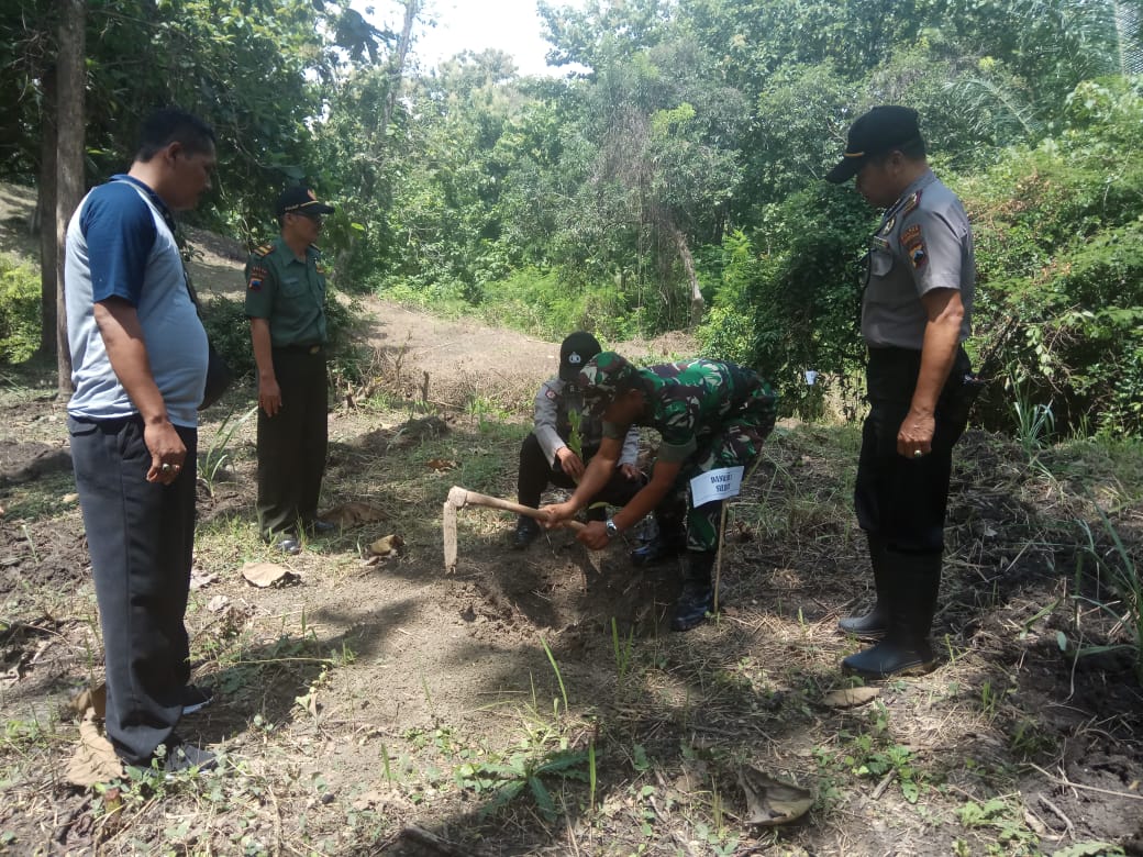 Hijaukan Hutan Barsama Dengan Pohon Buah